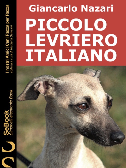 Piccolo Levriero Italiano