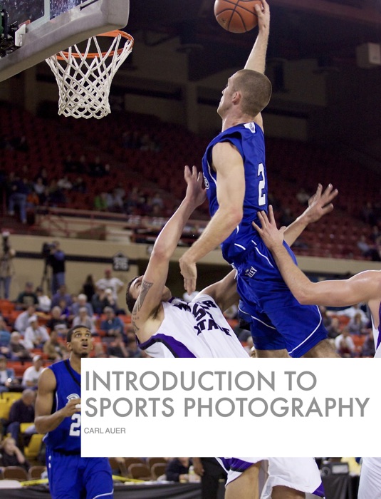 Introduction to Sports Photography