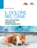 Il dolore nel cane - Davide Gamba