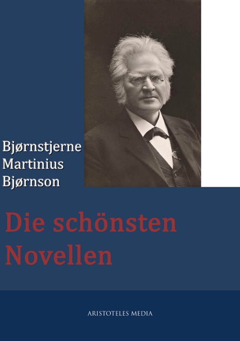 Bjørnstjerne Martinius Bjørnson - Die schönsten Novellen