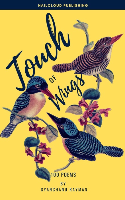 Touch Of Wings