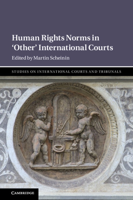 Human Rights Norms in ‘Other’ International Courts