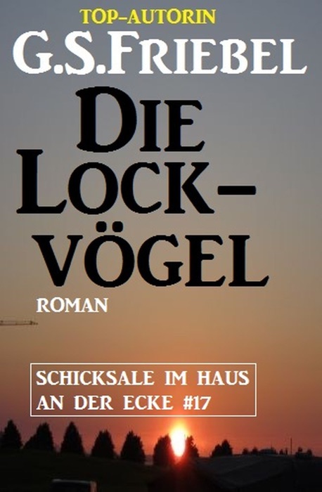 Die Lockvögel: Schicksale im Haus an der Ecke #17