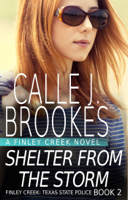 Calle J. Brookes - Shelter from the Storm artwork