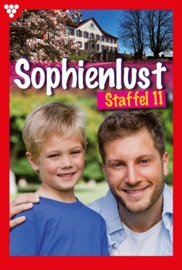 Sophienlust Staffel 11 – Familienroman