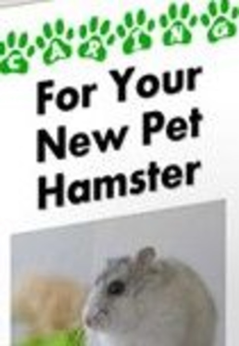 For Your New Pet Hamster