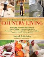 Abigail Gehring - The Illustrated Encyclopedia of Country Living artwork