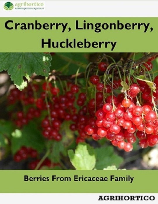 Cranberry, Lingonberry and Huckleberry