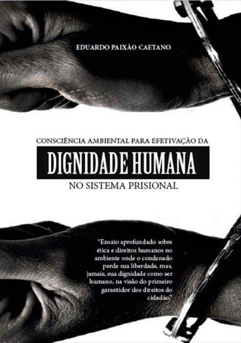 Consciência Ambiental Como Instrumento De Efetivação Da Dignidade Humana No Sistema Prisional