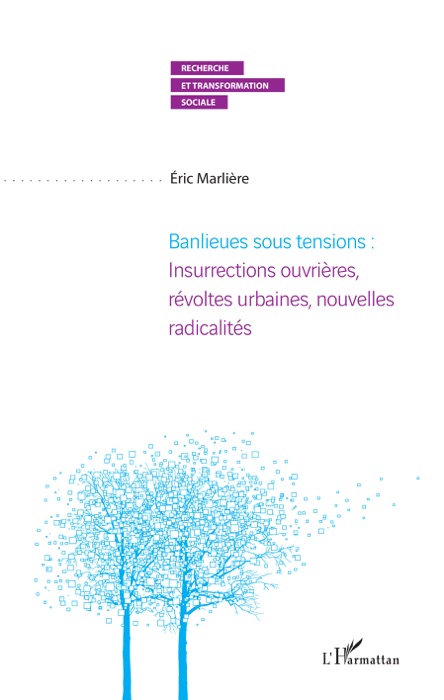 Banlieues sous tensions : Insurrections ouvrières, révoltes urbaines, nouvelles radicalités