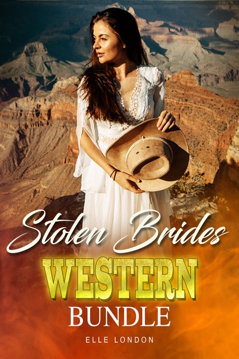 Stolen Brides Western Bundle