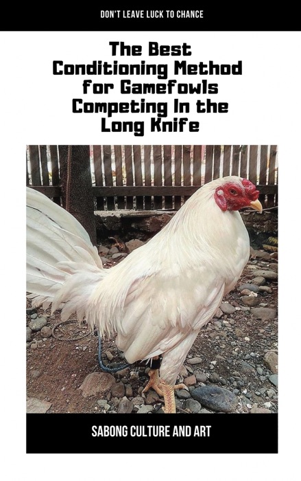 The Best Conditioning Method for Gamefowls Competing In the Long Knife