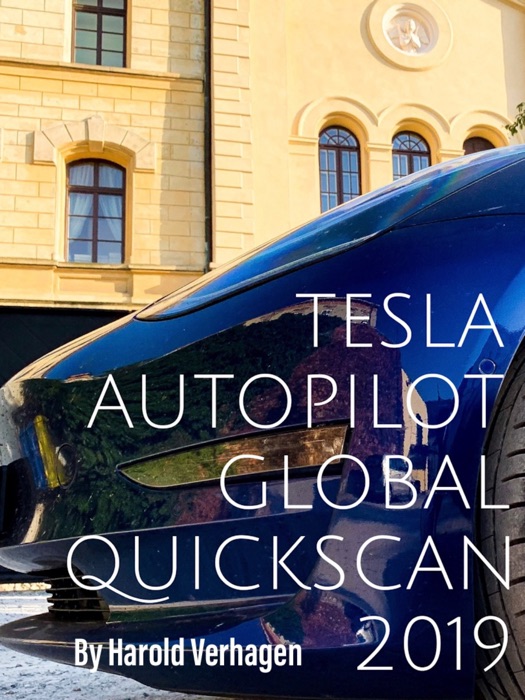 Tesla autopilot global quickscan 2019 Extended Version