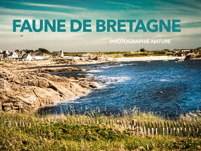 Faune de Bretagne