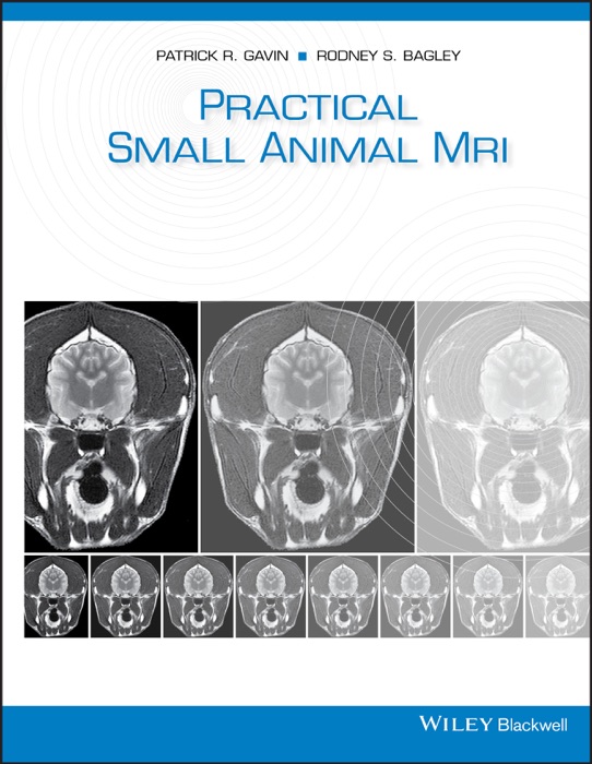 Practical Small Animal MRI