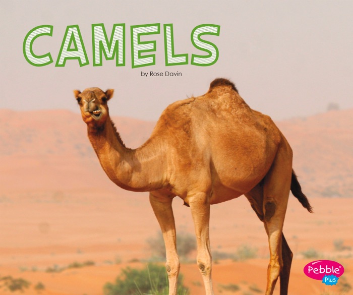 Camels