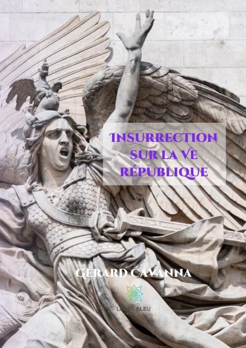 Insurrection sur la Ve république