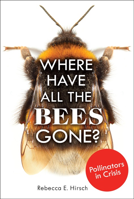 Where Have All the Bees Gone?