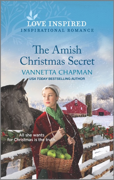 The Amish Christmas Secret