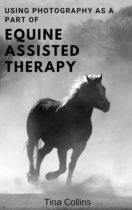 Using Photography As A Part of Equine Assisted Therapy