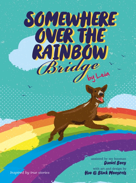 Somewhere  over the rainbow bridge