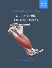 Download Upper Limb: Muscle Charts - Kenhub Book