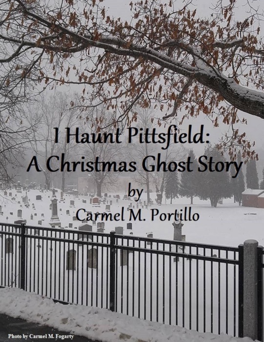 I Haunt Pittsfield: A Christmas Ghost Story