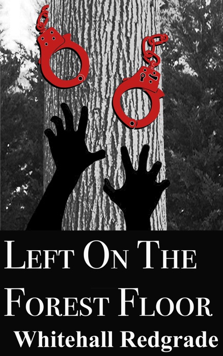 Left on the Forest Floor