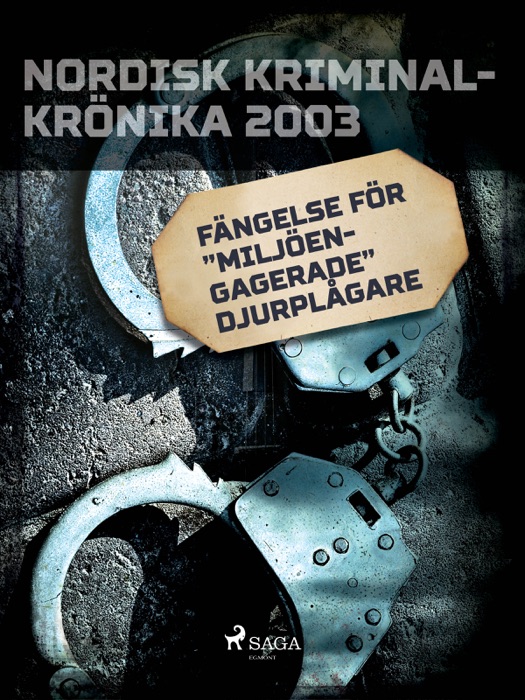 Fängelse för
