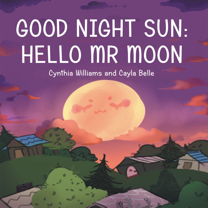 Good Night Sun: Hello Mr Moon