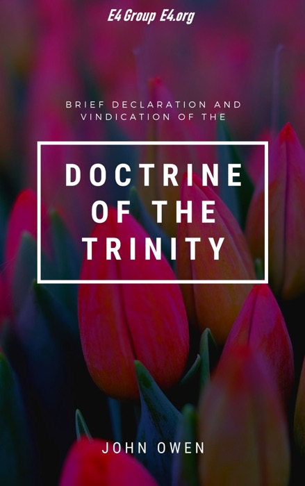 Brief Declaration and Vindication of the Doctrine of the Trinity
