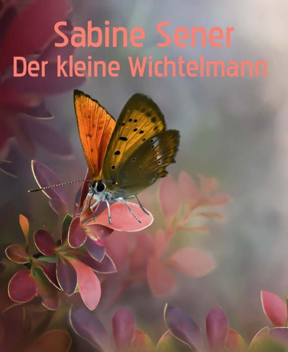 Der kleine Wichtelmann