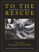 Elise Lufkin & Diana Walker - To the Rescue artwork