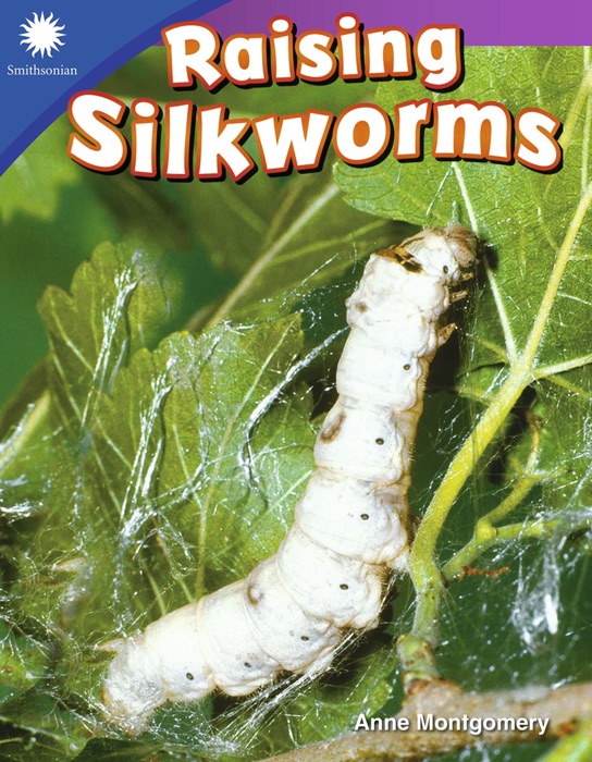 Raising Silkworms