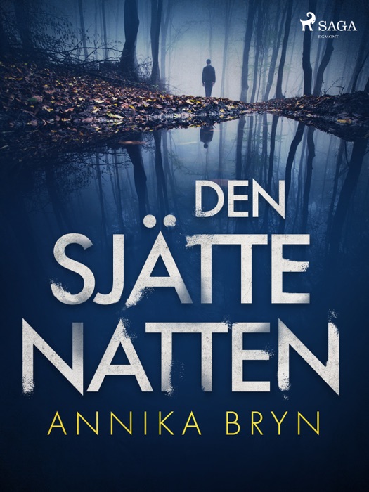 Den sjätte natten