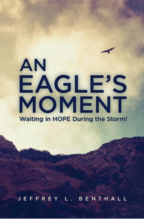 An Eagle's Moment