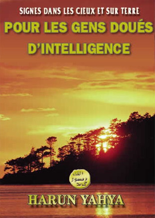 POUR LES GEN DOUES D'INTELLIGENCE