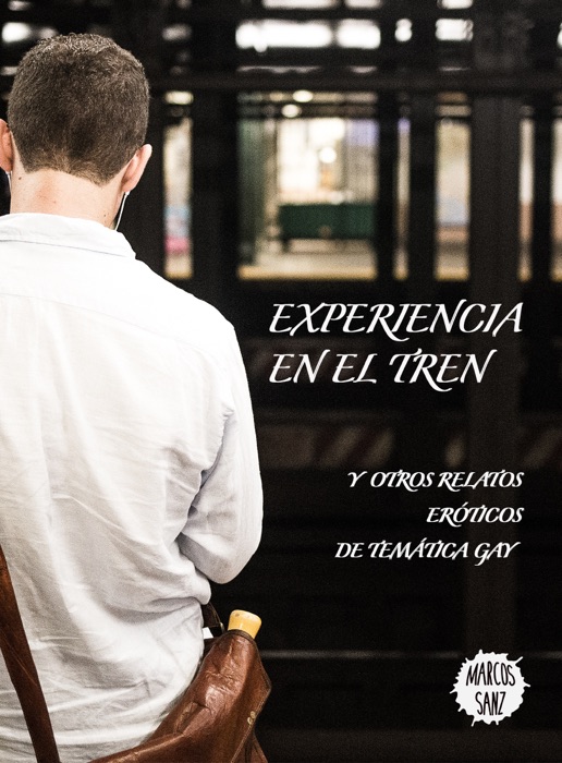 Experiencia en el tren Y otros relatos eróticos de temática gay