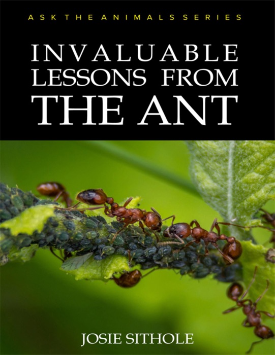 Invaluable Lessons from the Ant: Ask the Animals Series