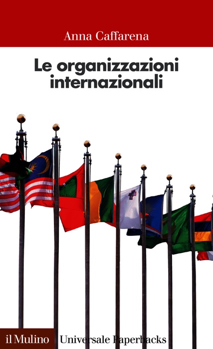 Le organizzazioni internazionali