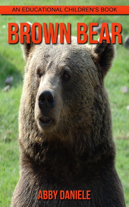 Brown Bear! An Educational Children's Book