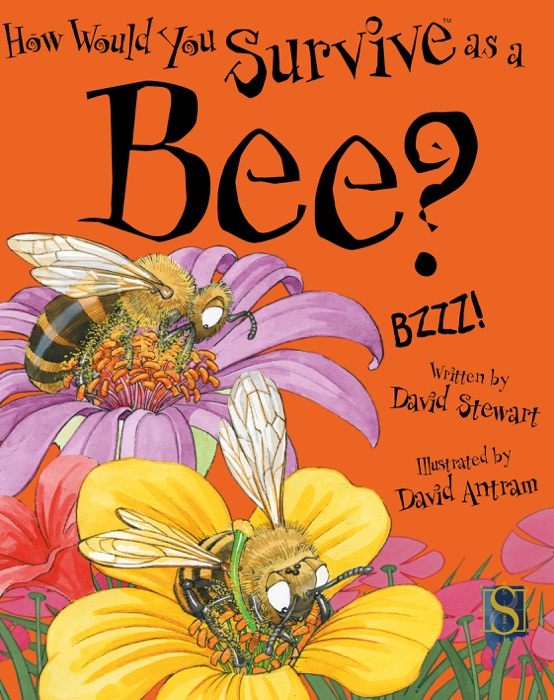 How Would You Survive as a Bee?