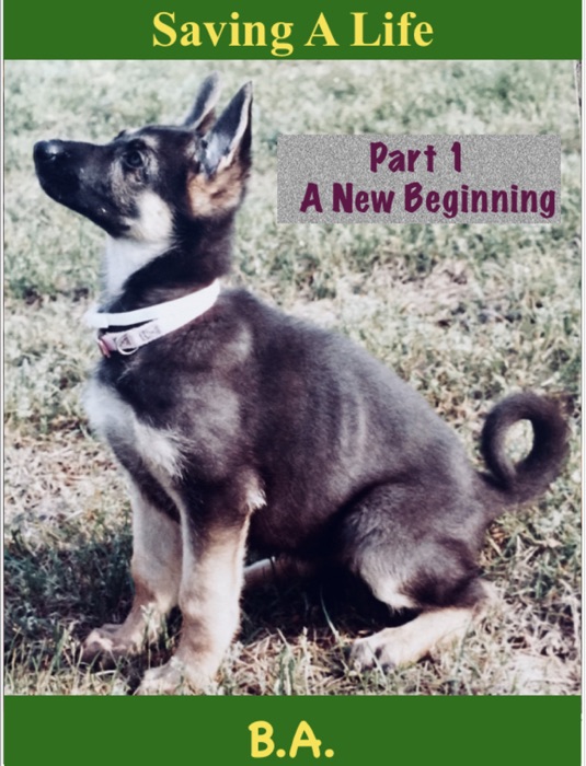 Saving A Life  -  Part 1 A New Beginning