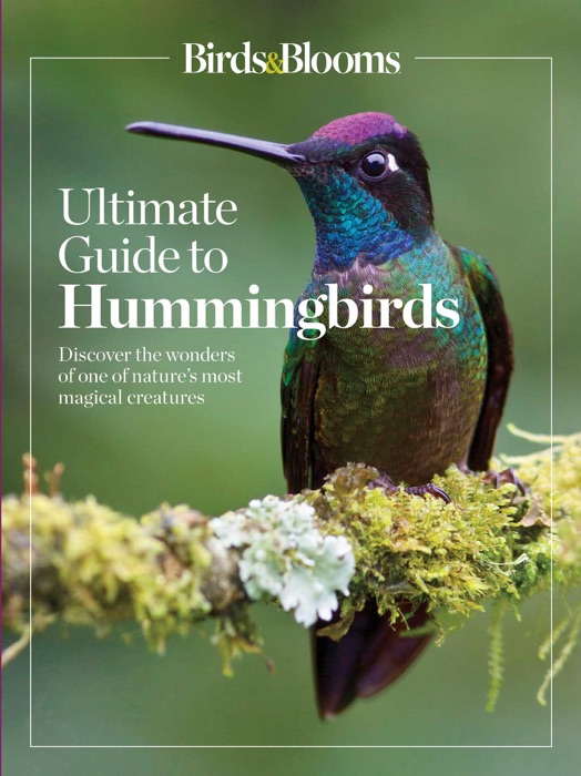 Birds & Blooms Ultimate Guide to Hummingbirds