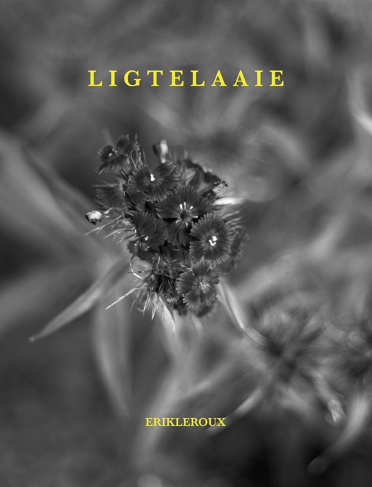 LIGTELAAIE