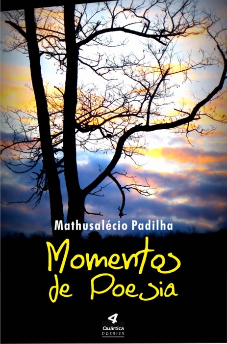 Momentos de Poesia