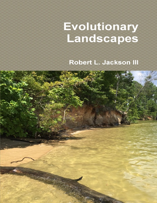 Evolutionary Landscapes