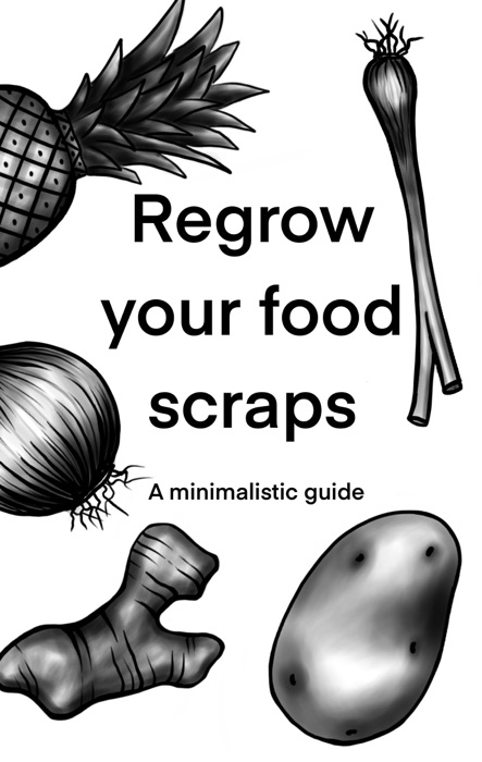 Regrow Your Food Scraps