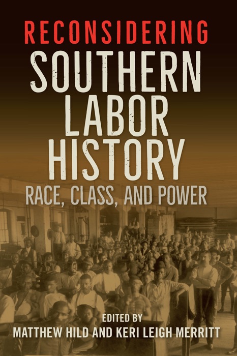 Reconsidering Southern Labor History