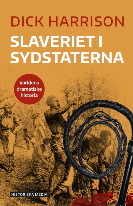 Slaveriet i sydstaterna